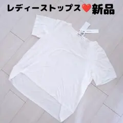 【KEIKO. KISHI】定価1.6万　ホワイト 半袖Tシャツ 新品　Fサイズのサムネイル