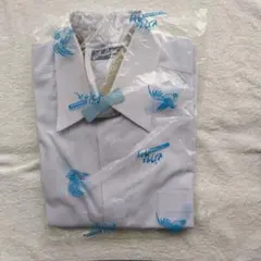 Item thumbnail for item b9fda46f-7c74-41e6-b797-c5dba8e1ef8d