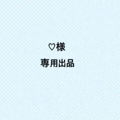 ♡様専用出品