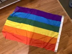 【値下げ】 レインボー フラッグ 中 旗 10枚セット 60×90