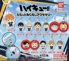 ハイキュー　ふらっとめじるしアクセサリー