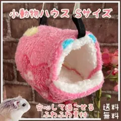 Item thumbnail for item 3687a93b-f59c-49d6-bdf8-b4d665a000a1