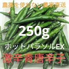 ☀激辛青唐辛子 サンクス限定販売品　1kg Amazon.co.jp: 【常温発送】青唐辛子「辛口」1kg : 食品・飲料・お酒