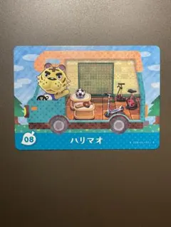 『とびだせ どうぶつの森 amiibo+』amiiboカード　08ハリマオ　①