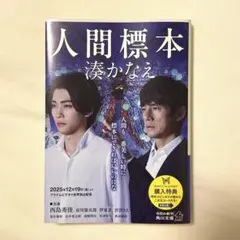 人間標本 湊かなえ 角川文庫 初版