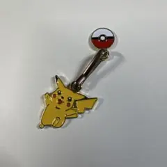 ポケモン ピカチュウ メタルチャーム キーホルダー