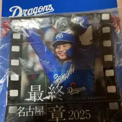 中日ドラゴンズ　最終章　きんちゃく　石伊