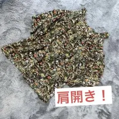 Item thumbnail for item a44b5b2c-f1c4-4b41-839e-b10620e4f745