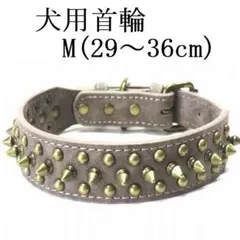 Item thumbnail for item 37dd0656-1702-4050-906b-31812ad7c741