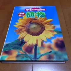 Item thumbnail for item 29759bc5-543d-4702-80c4-34c7465e9b47