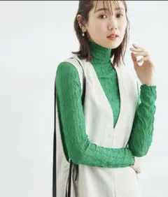 ロペピクニックシアージャーガータートル