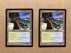 MTG カープルーザンの森 日1枚 英3枚セット - メルカリ
