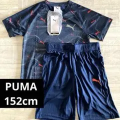 PUMA　プーマ　スポーツTシャツ　短パン　上下セット　新品　152 ネイビー