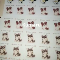 サンキューシール　犬　チワワ　２０枚