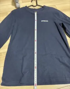 Patagonia ロンTのサムネイル