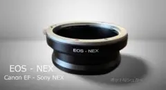 Item thumbnail for item 481bb898-6e12-4968-888e-cc1ffea6b80c