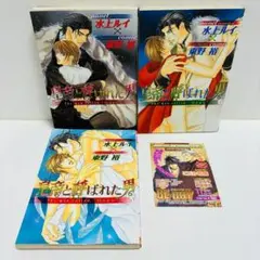 皇帝と呼ばれた男 1巻～3巻 水上 ルイ ノベルコミック