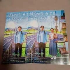 (仮)池田さん専用映画チラシセット 映画チラシサイト：GOLDFISH