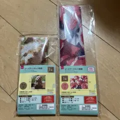 Item thumbnail for item 505c157f-b516-4179-89ff-2ed6e31e0c71