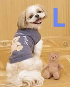 ジェラートピケ 【CAT&DOG】ベアジャガードプルオーバーLサイズ