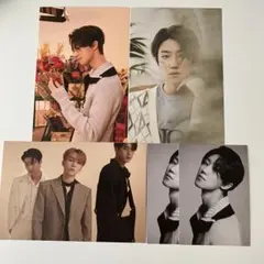 SEVENTEEN ディエイト　ポストカード　ミニカード　your choice