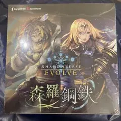 2025年最新】森羅鋼鉄 boxの人気アイテム - メルカリ