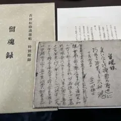 中国珍藏文書 林彪/毛沢東 辛亥革命 軍事 解放前夜書いたの肉筆手紙