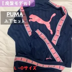 【廃盤モデル】PUMA プージャー 上下セット ネイビー/ピンク 美品