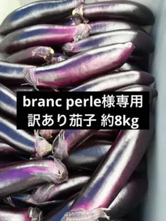 7月15日発送 branc perle様専用 訳あり茄子 約8kg 3000円のサムネイル