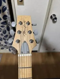 Pro Martin W300 バック3P 縦ロゴ 豪華インレイ アコギ 整備済 2025年最新】Pro Martin wの人気アイテム - メルカリ Pro Martin W300