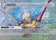 旧fftcg 光の戦士 PR-065 プレミアム ff3 ファイナルファンタジー 旧FFTCG 光の戦士 PR-065プレミアム プロモーション - メルカリ