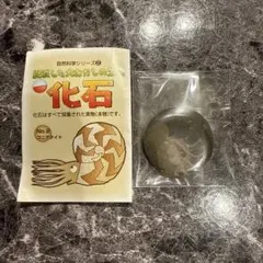 2026年最新】国立科学博物館の人気アイテム - メルカリ