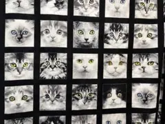 Item thumbnail for item 59427f20-8fa4-495f-8c7c-e80d8c4f7736