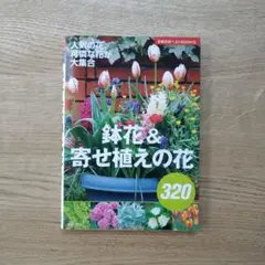 鉢花&寄せ植えの花320 人気の花、可憐な花が大集合
