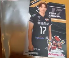 ウルフドッグス名古屋　アオキスーパー限定カード　市川健太　新品未使用