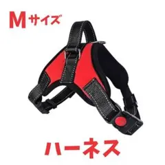 Item thumbnail for item d452c01b-38f0-4b52-8dac-c78738148178