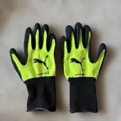 Item thumbnail for item e4b94475-7e36-41c1-949e-71b970fc79ce