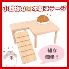 Item thumbnail for item 32eda385-4bba-484a-870d-cd3e03cd7307