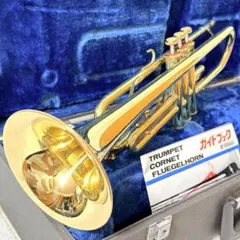 2026年最新】YTR-234 YAMAHAの人気アイテム - メルカリ