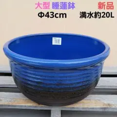 大型 新品 新品　∅50　特大　陶器　睡蓮鉢　手造り　メダカ鉢　難有　ラピスブルー　青LDB ∅43 MDB① 濃紺 ラピスブルー 手造り メダカ鉢 睡蓮鉢 陶器 水槽