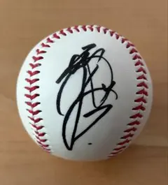 Item thumbnail for item 5466b6d1-8537-47d3-af97-ddbdb243eb24