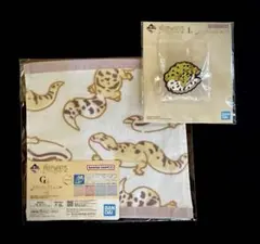 【一番くじ】 爬虫類＆両生類　レオパ　ニシアフ　トカゲモドキ　I賞G賞