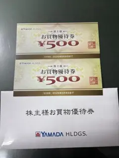 ヤマダ電機　株主優待　500円×2枚