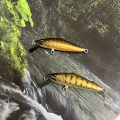 Item thumbnail for item 343a2e01-49a1-431f-8fc8-dc63934e6c90