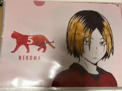 ハイキュー　孤爪研磨　クリアファイル