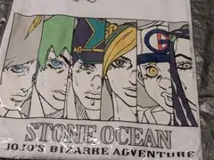 ジョジョ 空条承太郎　空条徐倫　アナスイ ウエザー 6部 Tシャツ　３L　白