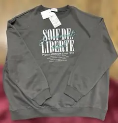 Item thumbnail for item 0587df87-505e-421a-bae5-cc8711f37aba