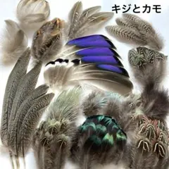 鳥の羽根 キジとマガモ羽ミックス 素材セット ハンドメイドのサムネイル