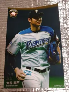 大谷翔平 2014 ハイライトフォト No.271 日本ハム 球団公式写真