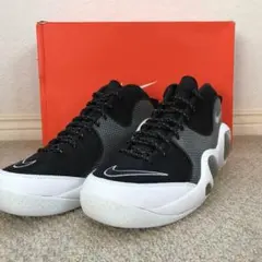 Nike air zoom flight premium 95 28cm交渉可能
